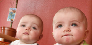 Come scegliere il nido?