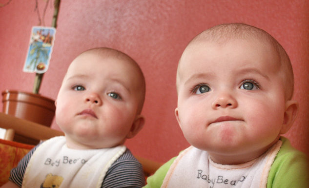 Come scegliere il nido?