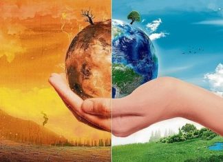La Terra nelle nostre mani: come stiamo distruggendo il mondo