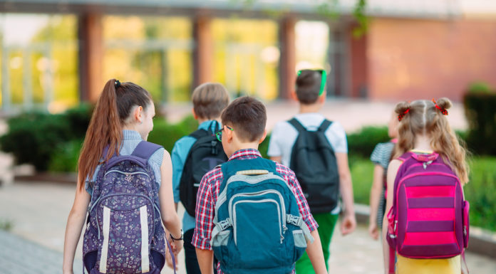 Il rappresentante di classe