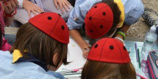 Lupetti e coccinelle