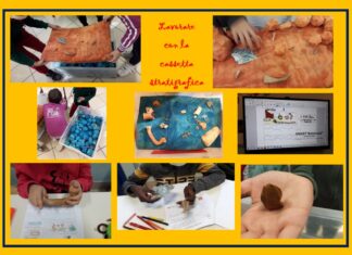 La cassetta stratigrafica