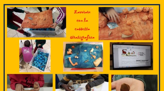La cassetta stratigrafica