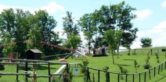 Passeggiate Treviso (Montello – Santuario S.M.)Vittoria