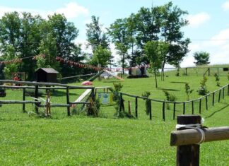 Passeggiate Treviso (Montello – Santuario S.M.)Vittoria