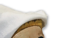 Storia di un burattino e altri pezzi di legno