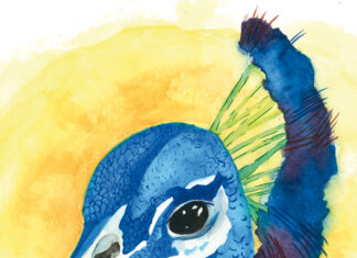 A 14 anni dipingo così!