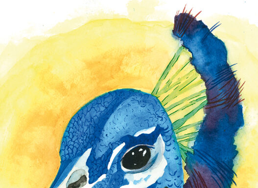 A 14 anni dipingo così!