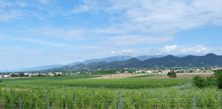 Passeggiate Treviso (Sentiero Natura Caerano)