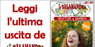 “la Salamandra Baby” n.41