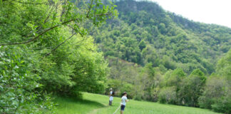 Passeggiate Treviso (la Garzaia a Pederobba)