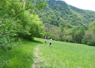 Passeggiate Treviso (la Garzaia a Pederobba)