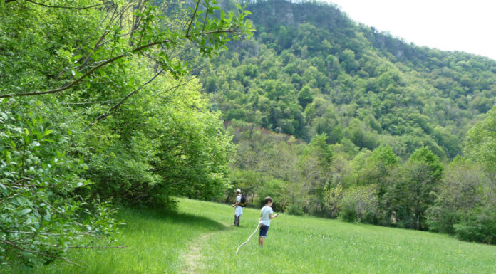Passeggiate Treviso (la Garzaia a Pederobba)
