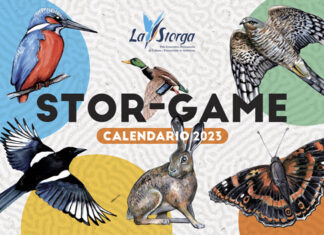 Cooperativa Comunica presenta: Stor-Game!