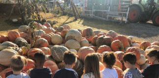 Gli ambienti del mondo e le stagioni