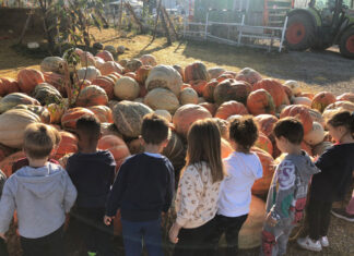 Gli ambienti del mondo e le stagioni