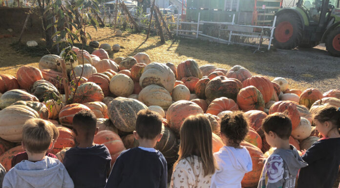 Gli ambienti del mondo e le stagioni