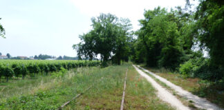 Passeggiate Treviso (Nervesa tra Piave e tradotta)