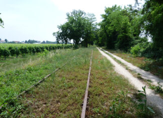 Passeggiate Treviso (Nervesa tra Piave e tradotta)
