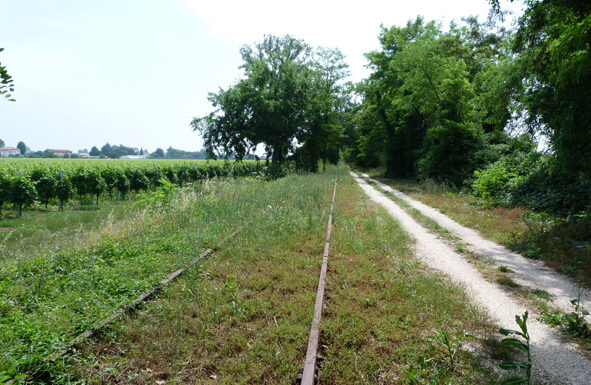 Passeggiate Treviso (Nervesa tra Piave e tradotta)