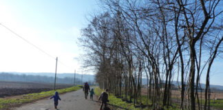 Passeggiate Treviso (da Fontigo all’Isola dei Morti)