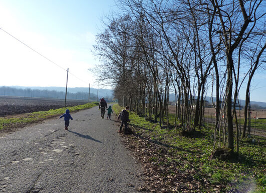 Passeggiate Treviso (da Fontigo all’Isola dei Morti)