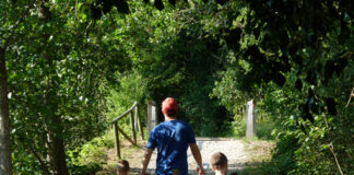 Passeggiate Treviso (l’Oasi di Cervara)