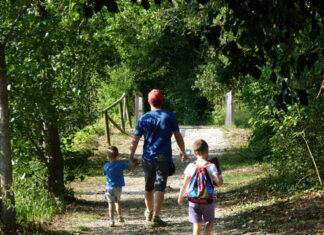 Passeggiate Treviso (l’Oasi di Cervara)