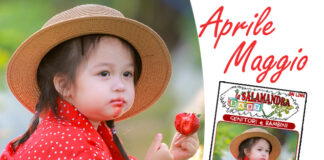 “la Salamandra Baby” n.45