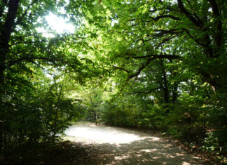 Passeggiate Treviso (l’Eremo di San Gallo)
