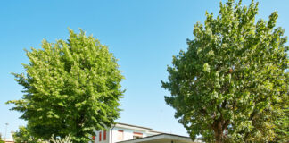 Asilo Nido Integrato “Maria Bambina”