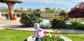 Nido in Famiglia di Barbara Busatto