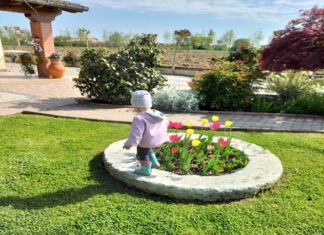 Nido in Famiglia di Barbara Busatto