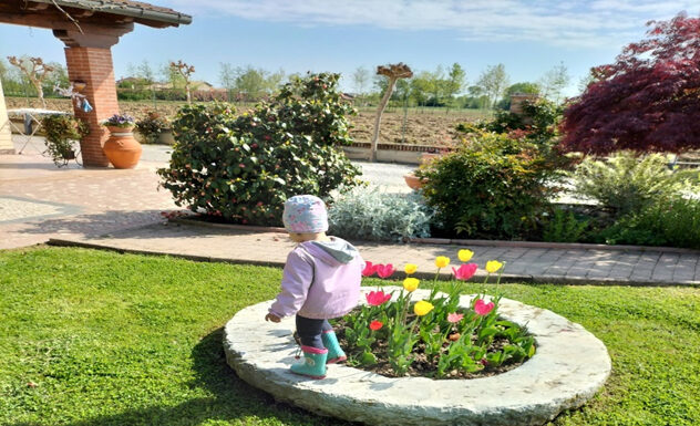 Nido in Famiglia di Barbara Busatto