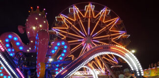 Fiere di San Luca 2023