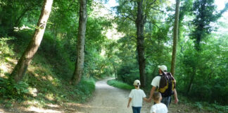 Passeggiate Treviso (Da Valderoa alla chiesa di Fietta)