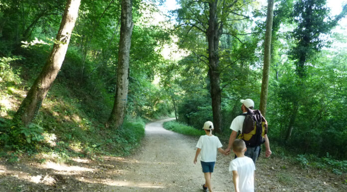 Passeggiate Treviso (Da Valderoa alla chiesa di Fietta)