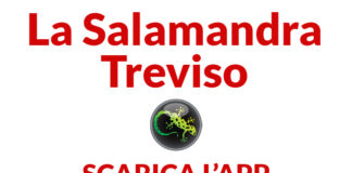 L’app imperdibile per i genitori trevigiani