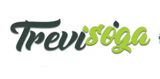 La Tana dei Goblin di Treviso