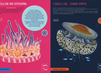 Conoscere e rispettare la natura