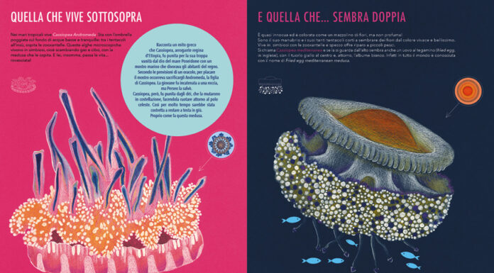 Conoscere e rispettare la natura