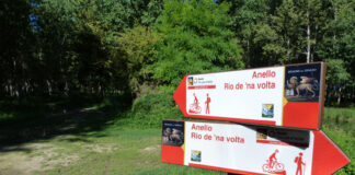 Passeggiate Treviso (Rio de na volta a Istrana)