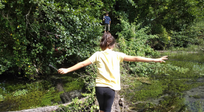 Scoprire la natura al parco “La Storga”