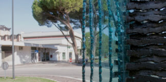 Mostra di Simon Benetton