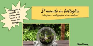 La Storga: “Ecosfera”