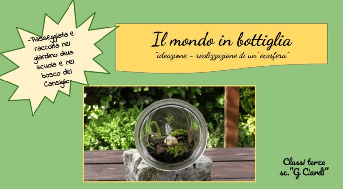 La Storga: “Ecosfera”