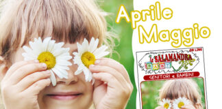 “la Salamandra Baby” n.50