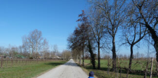 Passeggiate Treviso (Candelù e il Piave)