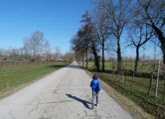Passeggiate Treviso (Candelù e il Piave)