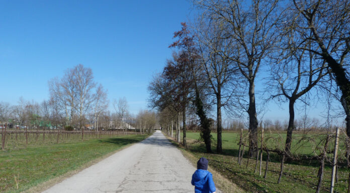 Passeggiate Treviso (Candelù e il Piave)